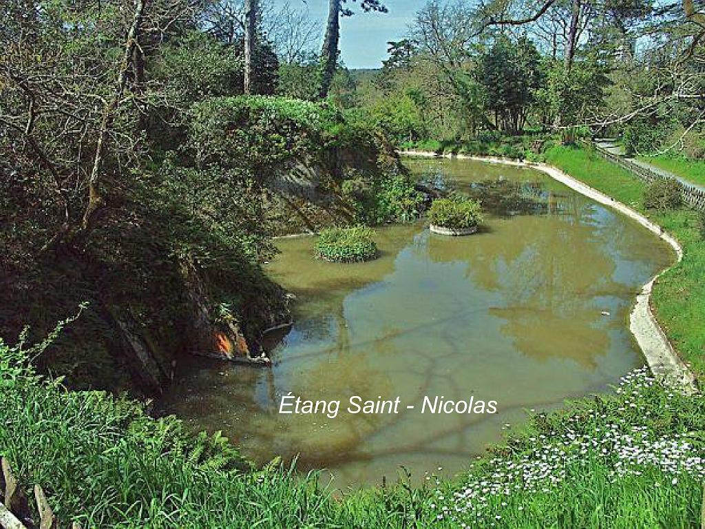 149 ANGERS MAINE ET LOIRE_000018.jpg